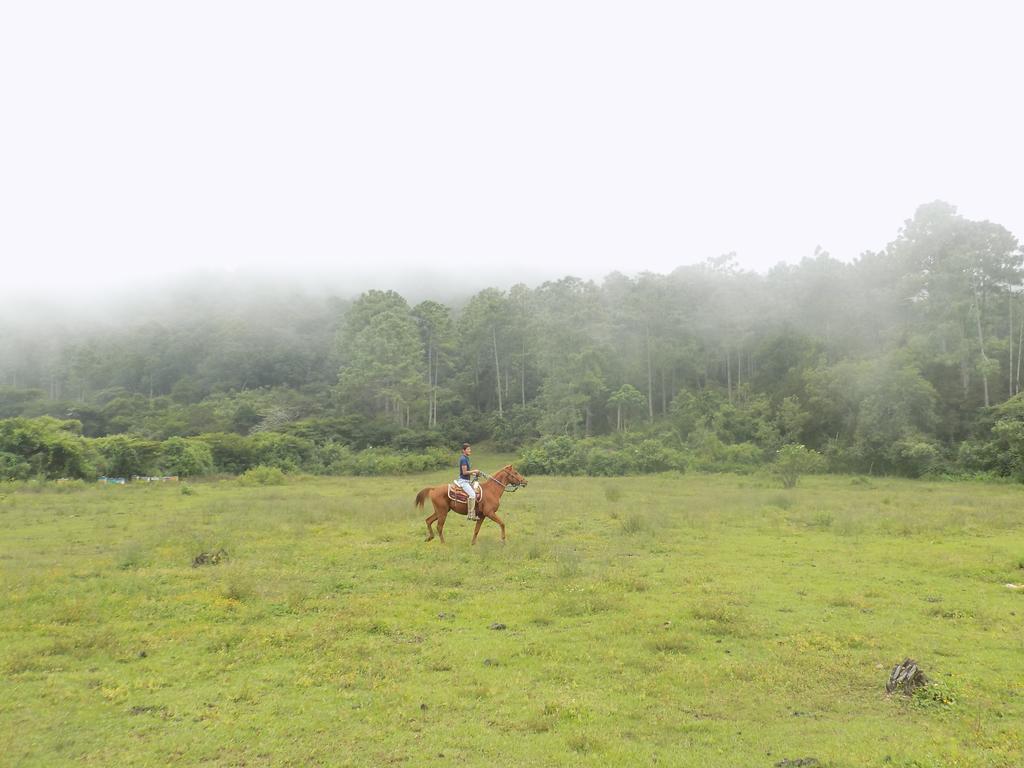 Rancho Hostal La Escondida Eco Park Teopisca Екстериор снимка
