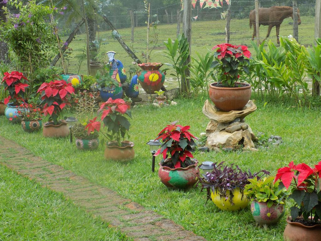 Rancho Hostal La Escondida Eco Park Teopisca Екстериор снимка